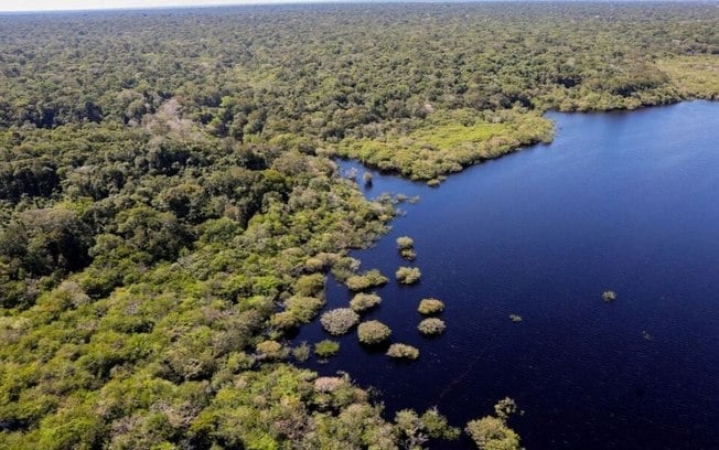 Brazilië heeft al 33% van de inheemse vegetatie op zijn grondgebied verloren